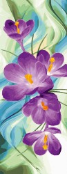 Картина по номерам с цветной схемой на холсте Molly арт.KHS0008 Панно. Фиолетовый крокус (32 цвета) 35х90 см