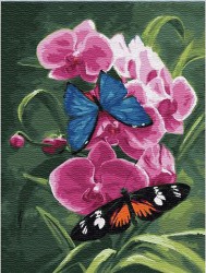Картины по номерам Бабочки и орхидея EX6048 30х40 тм Цветной