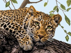 Рисунок на канве МАТРЕНИН ПОСАД арт.37х49 - 1881 Леопард