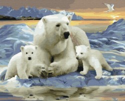 Картина по номерам с цветной схемой на холсте Molly арт.KK0715 Белые полярные медведи 40х50 см