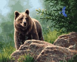 Картина по номерам с цветной схемой на холсте Molly арт.KK0714 Сибирский бурый медведь 40х50 см