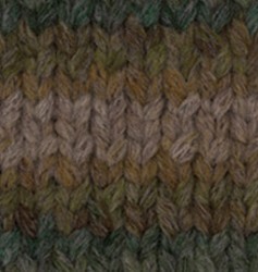 Пряжа для вязания Ализе Country (20% шерсть, 55% акрил, 25% полиамид) 5х100г/34м цв.5172 лесной