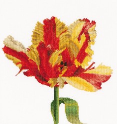Набор для вышивания THEA GOUVERNEUR арт.519 Красно-желтый тюльпан 34х36 см