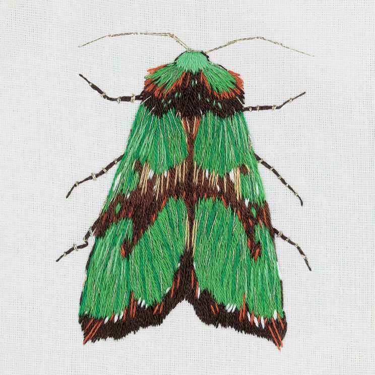 Набор для вышивания PANNA "Живая картина" арт. JK-2179 Зеленый мотылек 5,5х6,5 см