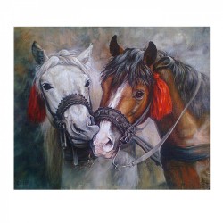 Картины по номерам Molly арт.KH0359 Красивые лошади (20 цветов) 30х30 см