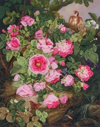 Набор для вышивания PANNA "Живая картина" арт. JK-2034 Розы королевы Виктории 25х19,5 см