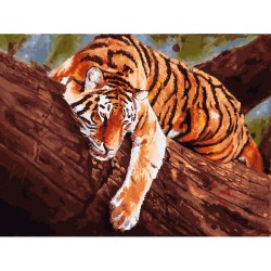 Картины по номерам Белоснежка арт.БЛ.364-AS Тигр на дереве 30х40 см