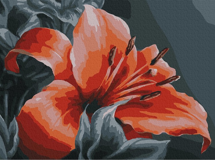 Картина по номерам с цветной схемой на холсте Molly арт.KK0669 Оранжевая лилия 30х40 см