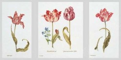 Набор для вышивания THEA GOUVERNEUR арт.2039 Тюльпаны 84х42 см