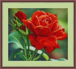 Набор для вышивания бисером GALLA COLLECTION арт.Л 312 Красная роза 30х27 см