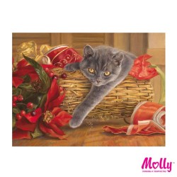 Картины по номерам Molly арт.KH0050 Подарок (12 Цветов) 15х20 см