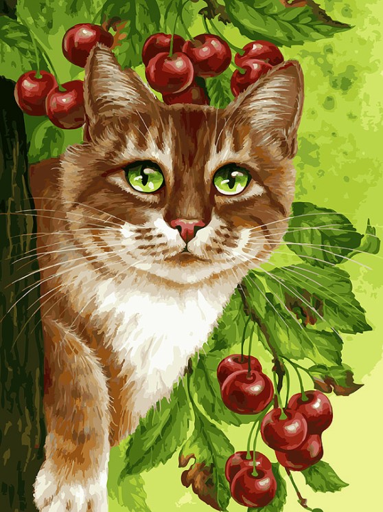 Картины по номерам Белоснежка арт.БЛ.149-AS Кот на вишнёвом дереве 30х40 см