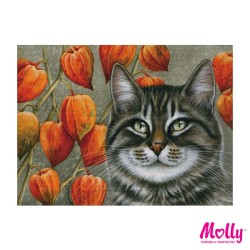 Картины по номерам Molly арт.KH0048 Мечтатель (12 Цветов) 15х20 см