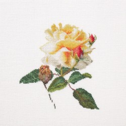 Набор для вышивания THEA GOUVERNEUR арт.416 Цветение белой розы 25х25 см