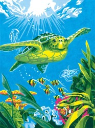 Набор для раскрашивания DIMENSIONS арт.DMS-73-91471 Морская черепаха (акрил) 23х30/5 см упак (1 шт)