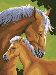 Картины по номерам Белоснежка арт.БЛ.207-CE Лошадь и жеребенок 30х40 см упак