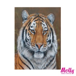Картины по номерам Molly арт.KH0250 Амурский тигр (11 Цветов) 15х20 см