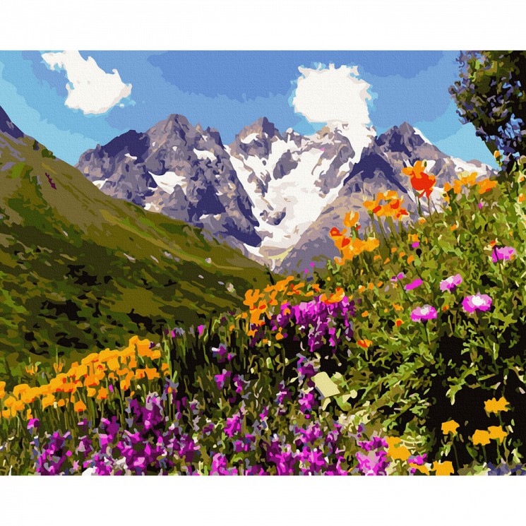 Картина по номерам с цветной схемой на холсте Molly арт.KK0736 Альпийские луга Дагестана 40х50 см