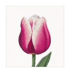 Набор для вышивания THEA GOUVERNEUR арт.517 Сиреневый тюльпан 34х36 см
