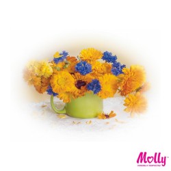 Картины по номерам Molly арт.KH0242 Календула с васильками (15 Цветов) 15х20 см