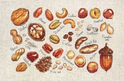 Набор для вышивания LUCA-S арт. B1165 Орехи и семена 31,5х20 см