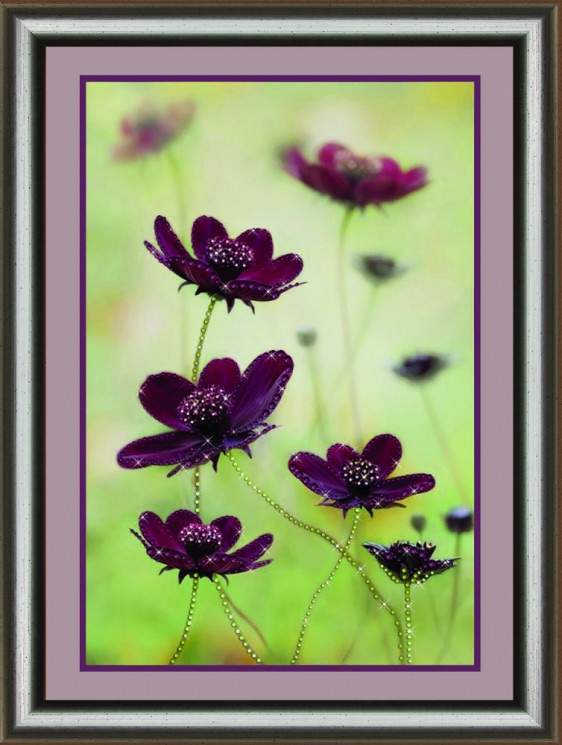 Набор ЧМ арт. КС-1065 для изготовления картины со стразами Crystal Art Космея 30/3x42 см упак (1 шт)