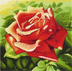 Рисунок на канве МАТРЕНИН ПОСАД арт.41х41 - 1216 Красная роза