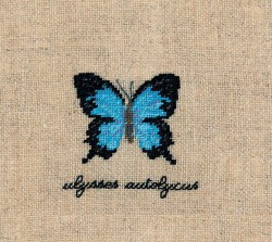 Набор для вышивания Le Bonheur des Dames арт.3628 Papillons Ulysses Autolycus (Бабочка Ulysses Autolycus) 5х5,5 см