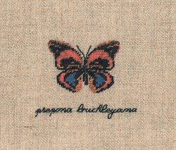 Набор для вышивания Le Bonheur des Dames арт.3629 Papillon Prepona Buckleyana (Бабочка Prepona Buckleyana) 4,5х6 см