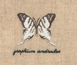 Набор для вышивания Le Bonheur des Dames арт.3623 Papillon Graphium (Бабочка Graphium) 5х5,5 см