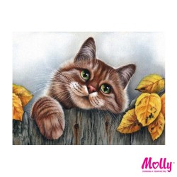 Картины по номерам Molly арт.KH0049 Мяу (12 Цветов) 15х20 см