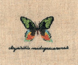 Набор для вышивания Le Bonheur des Dames арт.3624 Papillon Chrysiridia (Бабочка Chrysiridia) 4,5х6,5 см