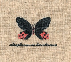 Набор для вышивания Le Bonheur des Dames арт.3625 Papillon Atrophaneura(Бабочка Atrophaneura) 4,5х6 см