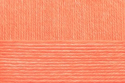 Пряжа для вязания ПЕХ "Школьная" (100% акрил) 5х50г/150м цв.018 персик