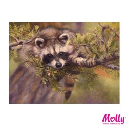 Картины по номерам Molly арт.KH0758 Енотик (12 Цветов) 15х20 см