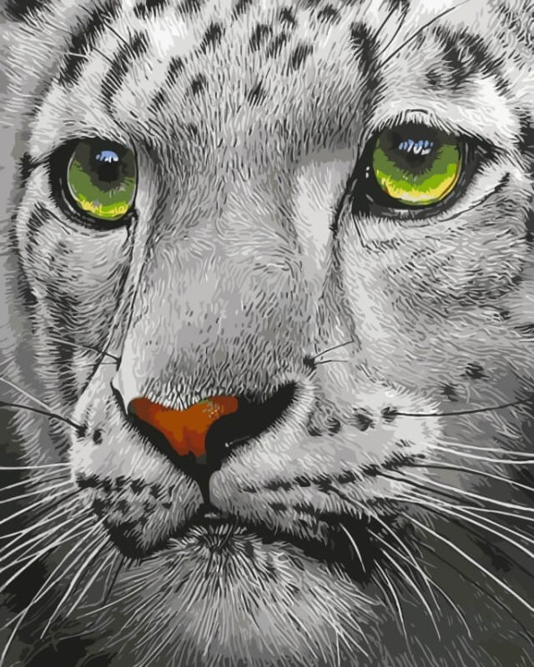 Картины по номерам Белый тигр ME1072 30х40 тм Цветной