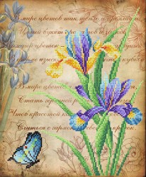 Рисунок на габардине МП СТУДИЯ арт.Г-168 Яркие ирисы 40х35/23х28