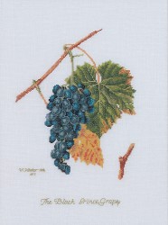 Набор для вышивания THEA GOUVERNEUR арт.2086 Виноград 26х35 см