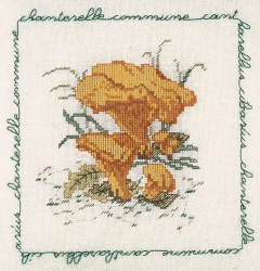 Набор для вышивания Le Bonheur des Dames арт.1684 Chanterelle Commune (Лисичка) 17х18 см