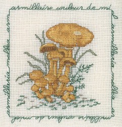 Набор для вышивания Le Bonheur des Dames арт.1685 Armillaire Couleur De Miel (Опёнок) 16х17 см