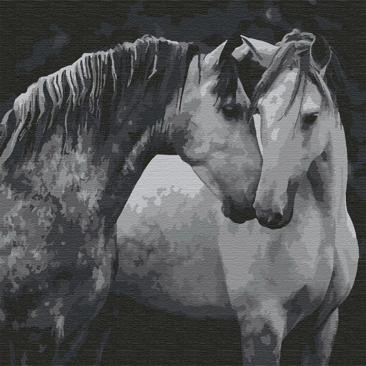 Картины по номерам Molly арт.KHM0036 Пара лошадей (15 цветов) 30х30 см