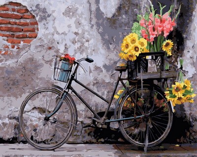 Картины по номерам Ретро велосипед GX30798 40х50 тм Цветной