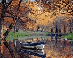 Картины по номерам Осенний парк MG20184 40х50 тм Цветной