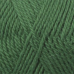 Пряжа для вязания КАМТ "Аргентинская шерсть" (100% импортная п/т шерсть) 10х100г/200м цв.110 зеленый