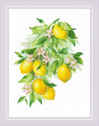 Набор для вышивания РИОЛИС арт.2054 Яркие лимоны 30х40 см