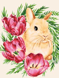Картины по номерам с холстом на подрамнике ФРЕЯ арт.PNB.PM-113 Кролик в тюльпанах 40х30 см