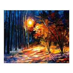 Картины по номерам Molly арт.GX9118 Тени на снегу (24 Краски) 40х50 см упак