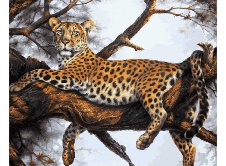 Картины по номерам Белоснежка арт.БЛ.170-AB Леопард на отдыхе 40х50 см