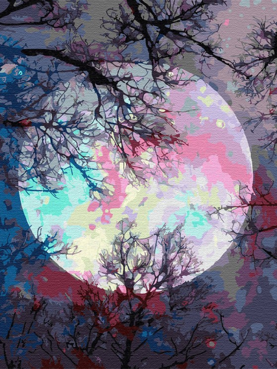 Картины по номерам Неоновая луна EX6362 30х40 тм Цветной
