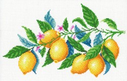 Схема для вышивания крестом МП СТУДИЯ арт.СК-098 Лимонная гармония 30х40 см